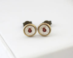 Little Ladybugs - Vintage Style Stud Earrings