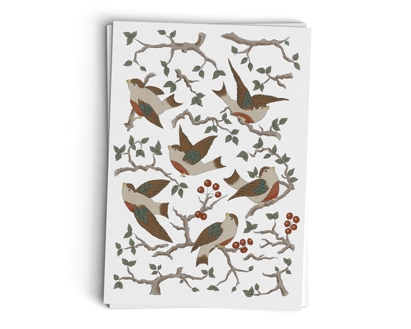 Winter Birds - Illustrated Greeting Card